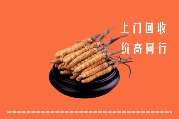 高价求购：大兴安岭市回收散虫草
