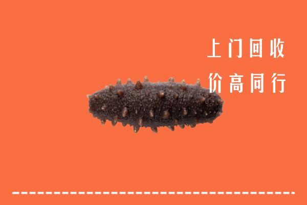 高价求购：大兴安岭市回收海参